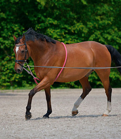 Веревка для работы на корде