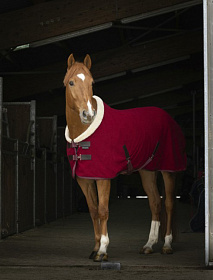 Попона флисовая с меховым воротом EQUITHEME "TEDDY"