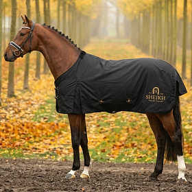 Попона хлопковая денниковая SHEIKH