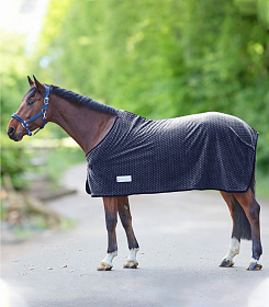 Попона флисовая Silver Hearts