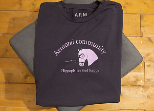 Футболка с шелкографией Armond Community