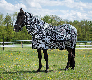 Попона-сетка с капором RIDING WORLD