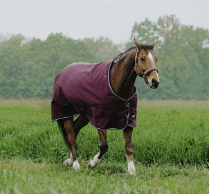 Попона прогулочная EQUITHEME “TYREX 1200 D”, 150g