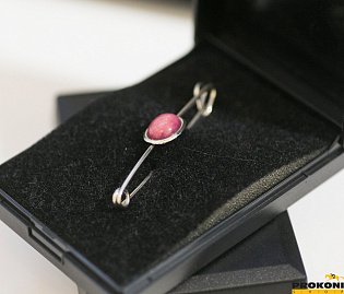 Булавка для галстука КД