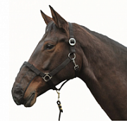 Сетка на нос к оголовью КД