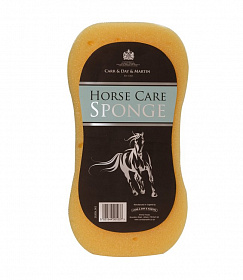 Horse Care Sponge