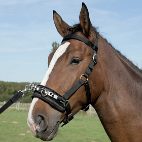 Капцунг нейлоновый