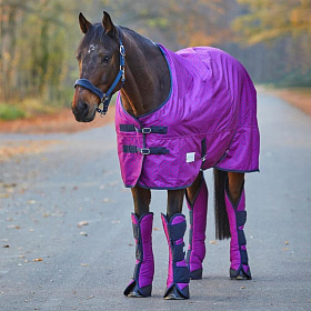 Попона прогулочная Unicorn Hearts с флисом