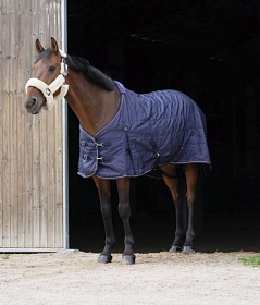 Попона денниковая EQUITHEME "840D", 50g