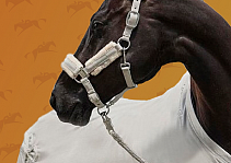 Большое пополнение ассортимента Flex-on, Samshield, Schockemohle, Horse Pilot