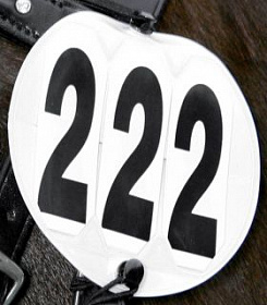 Номерок на уздечку