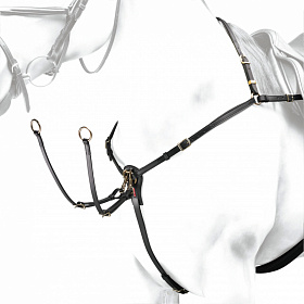 Подперсье с мартингалом Equipe