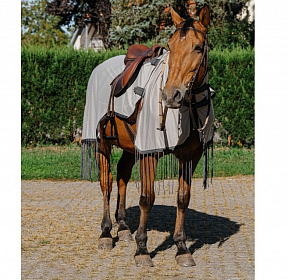 Попона-сетка рабочая с вырезом под седло RIDING WORLD