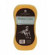 Horse Care Sponge