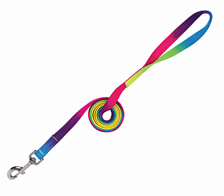 Чумбур Rainbow