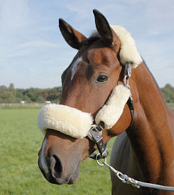 Набор меховушек