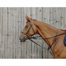 Мартингал с поводом NORTON PRO "THIEDEMAN"