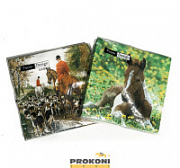 Салфетки с рисунком "Лошади" КД